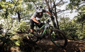 E-Bike_Michel_Header